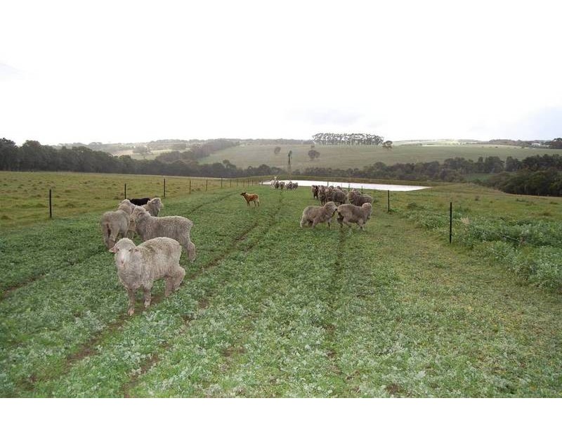 Glenthompson VIC 3293
