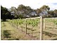 Woodford VIC 3281