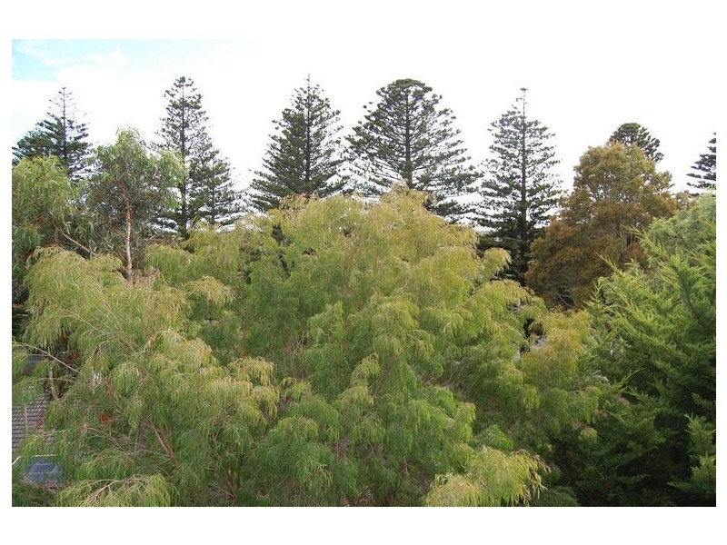 Warrnambool VIC 3280
