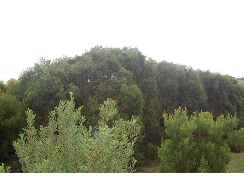 Port Campbell VIC 3269