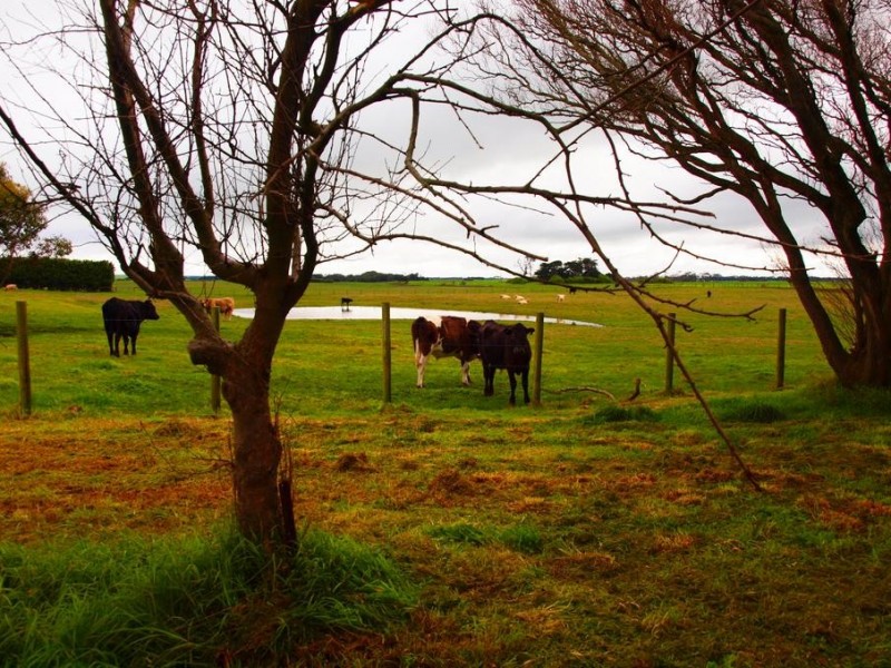 Mepunga East VIC 3277