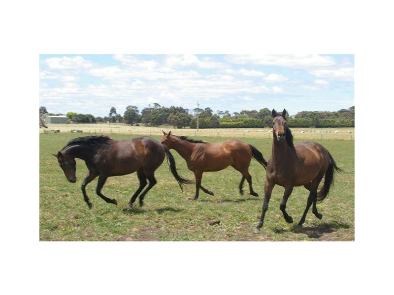 Warrnambool VIC 3280