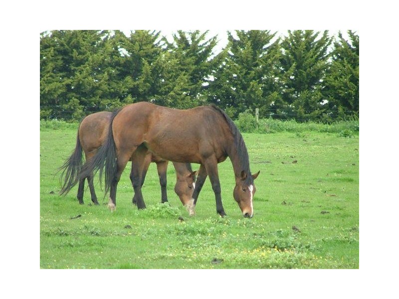 Warrnambool VIC 3280