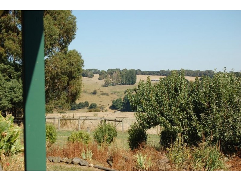 130N Robilliards Road, Timboon VIC 3268