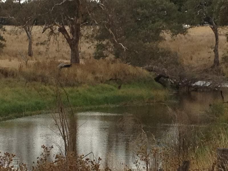 Warrnambool VIC 3280