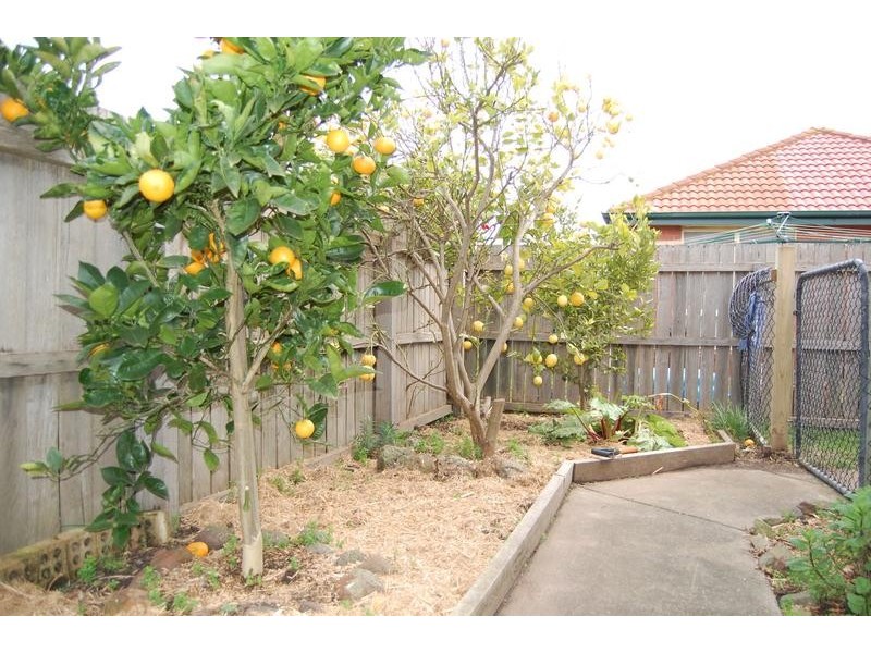 Warrnambool VIC 3280