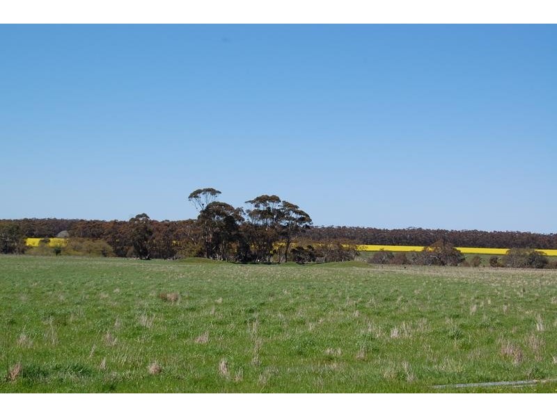 Mortlake VIC 3272