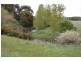 Woolsthorpe VIC 3276