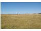 Hawkesdale VIC 3287