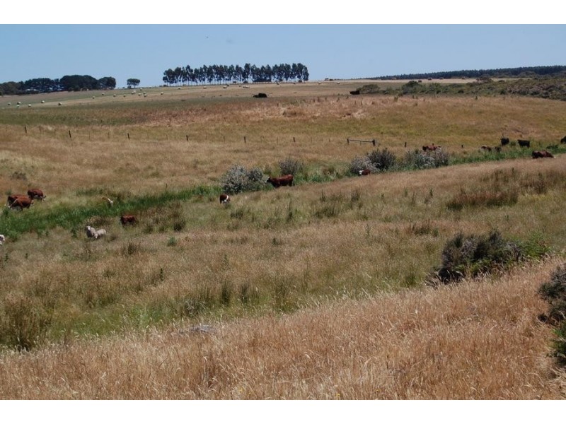 Hawkesdale VIC 3287