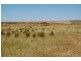 Hawkesdale VIC 3287