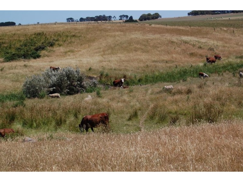 Hawkesdale VIC 3287
