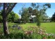 Terang VIC 3264