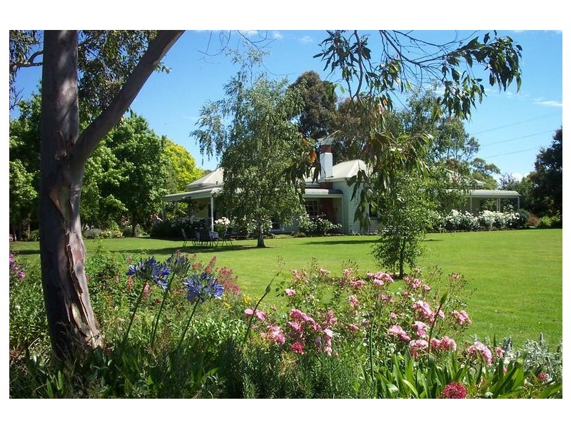 Terang VIC 3264