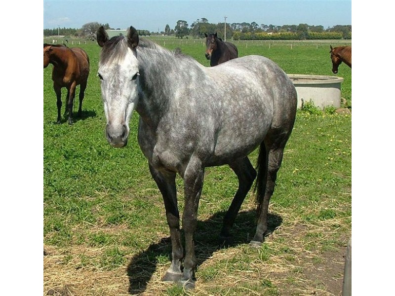 Warrnambool VIC 3280