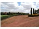 Bushfield VIC 3281