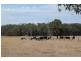Naringal VIC 3277