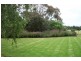 338 Terang Mortlake Road, Terang VIC 3264