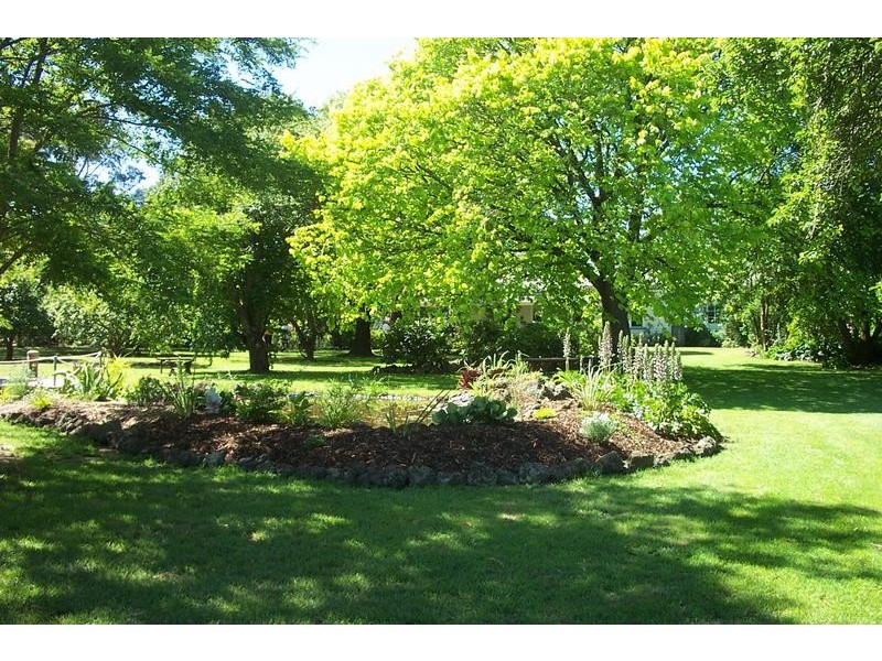 338 Terang Mortlake Road, Terang VIC 3264