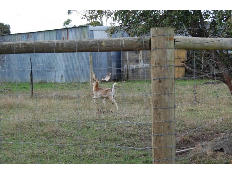 Ecklin South VIC 3265