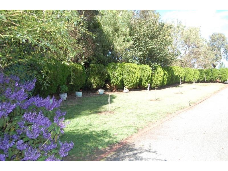 Bushfield VIC 3281