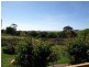 Terang VIC 3264