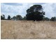 Condah VIC 3303