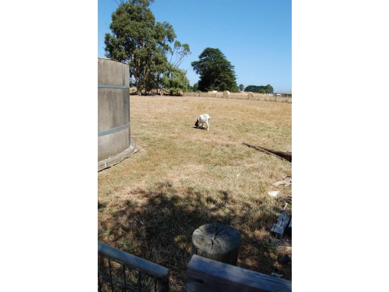 28 Barries Road, Bushfield VIC 3281