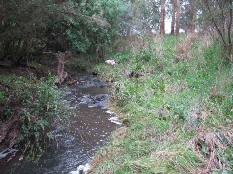 Warrnambool VIC 3280