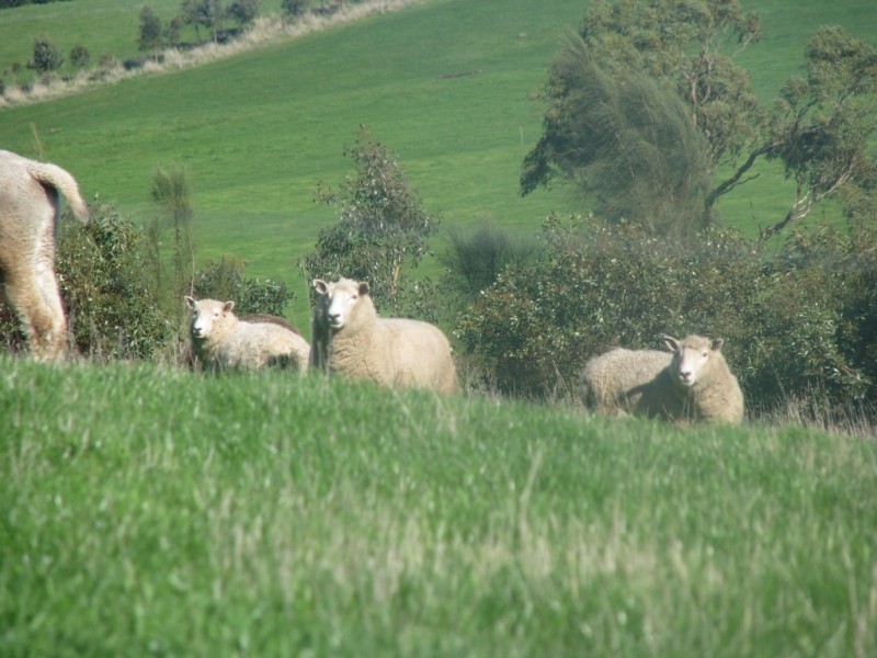 Warrnambool VIC 3280