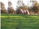 Warrnambool VIC 3280