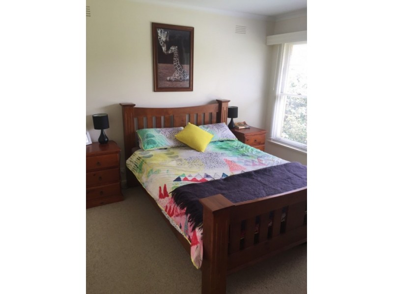 37 Saltau Street, Warrnambool VIC 3280