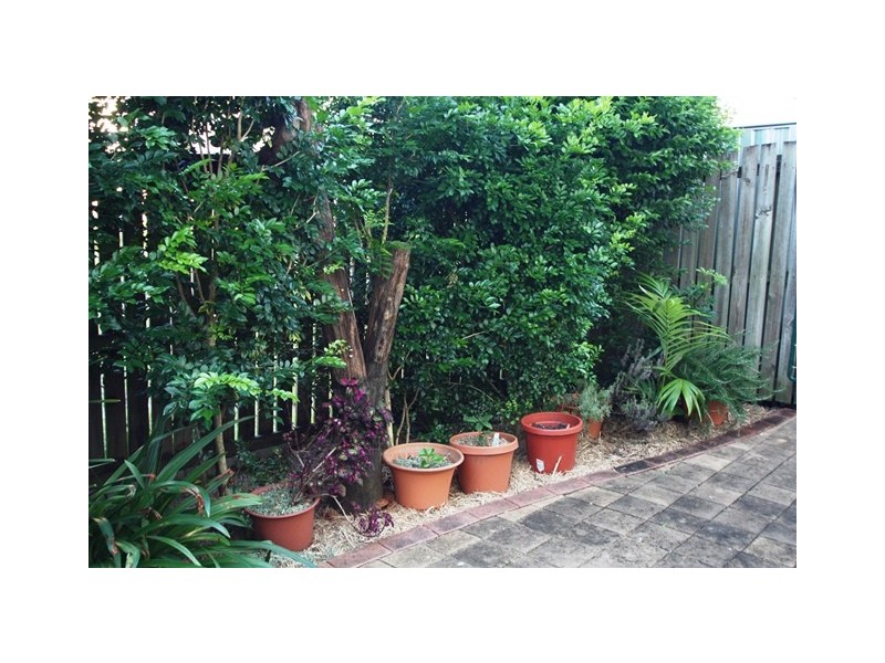 21/14-20 Brickfield Road, Aspley QLD 4034