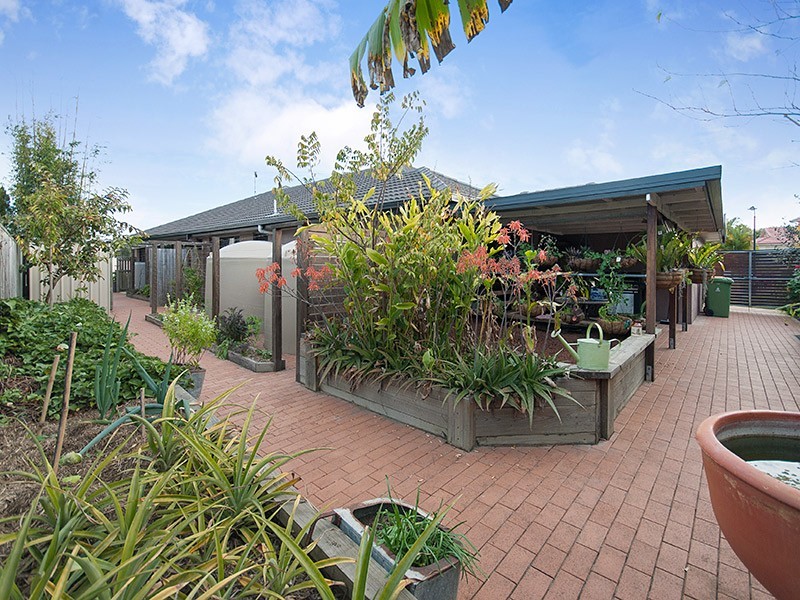 31 Sandpiper Ave, North Lakes QLD 4509