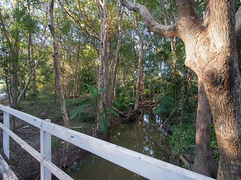 40 Danube Drive, Strathpine QLD 4500