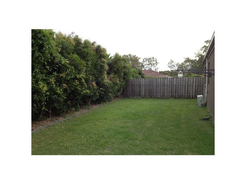 47 Macaranga Crescent, Carseldine QLD 4034