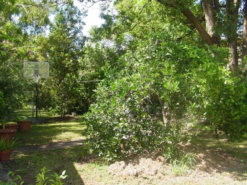 14 Russell Street, Northmead NSW 2152