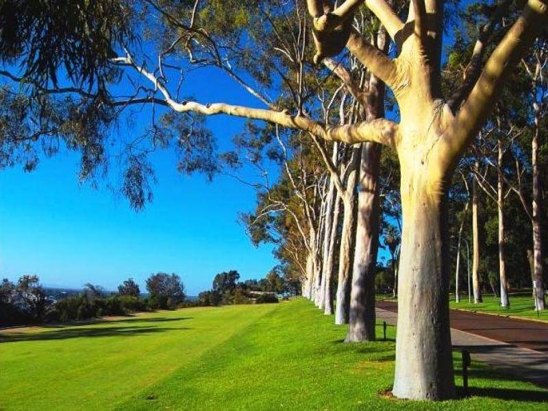 863 Wellington, West Perth WA 6005