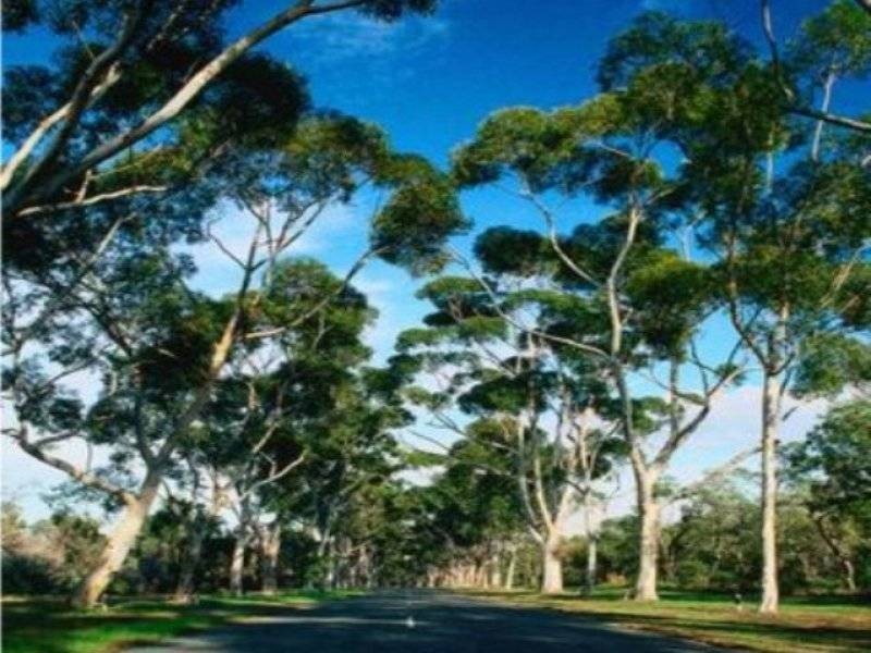 33/863 Wellington, West Perth WA 6005