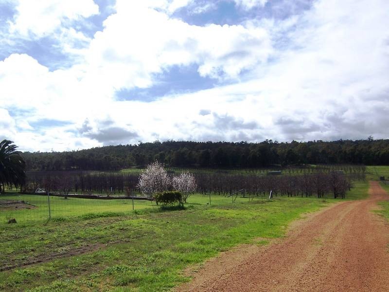 1163 Nettleton Road, Jarrahdale WA 6124
