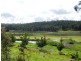1163 Nettleton Road, Jarrahdale WA 6124