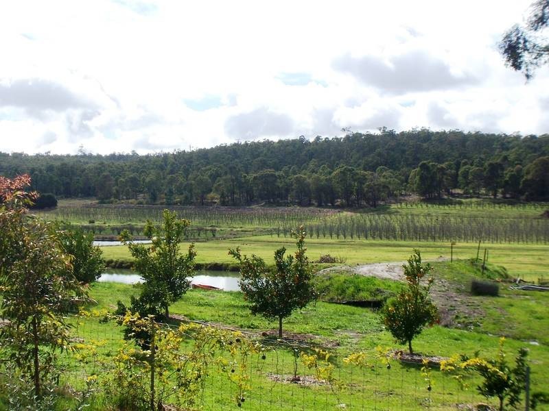 1163 Nettleton Road, Jarrahdale WA 6124