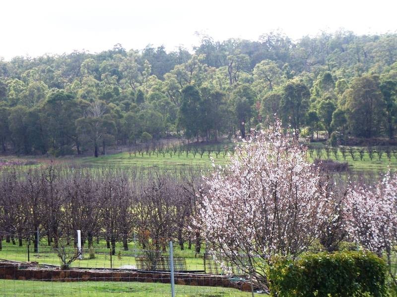 1163 Nettleton Road, Jarrahdale WA 6124