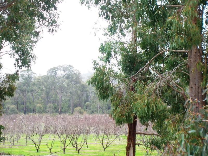 1309 Nettleton Road, Jarrahdale WA 6124