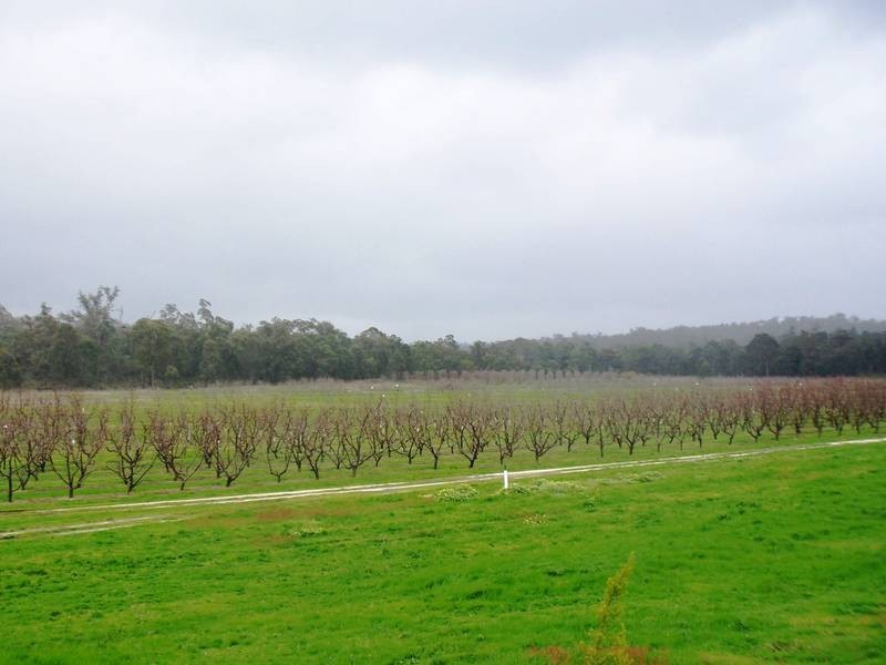 1309 Nettleton Road, Jarrahdale WA 6124