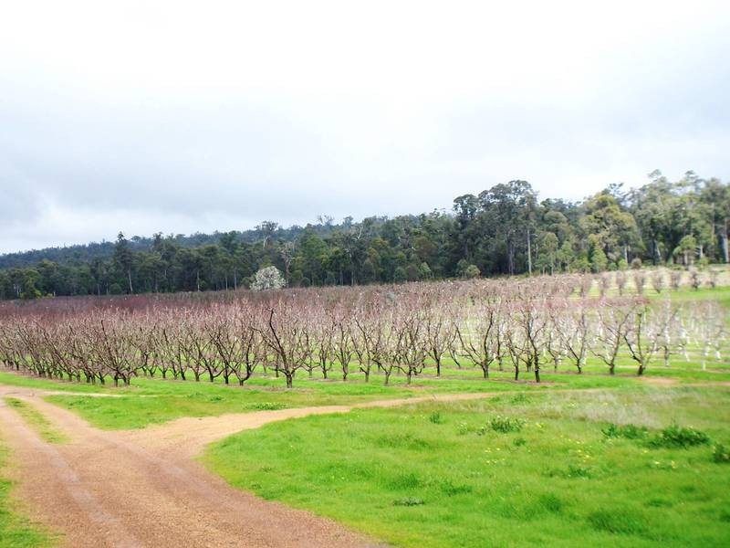 1309 Nettleton Road, Jarrahdale WA 6124