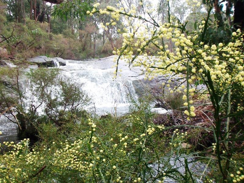 1309 Nettleton Road, Jarrahdale WA 6124