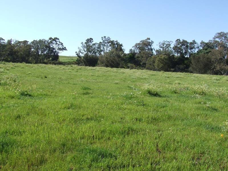 Henley Brook WA 6055