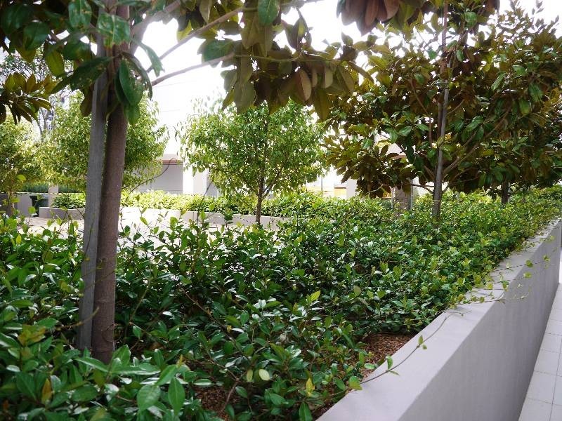 37/151 Adelaide Terrace, East Perth WA 6004