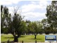 17 Hardey Road, Maylands WA 6051